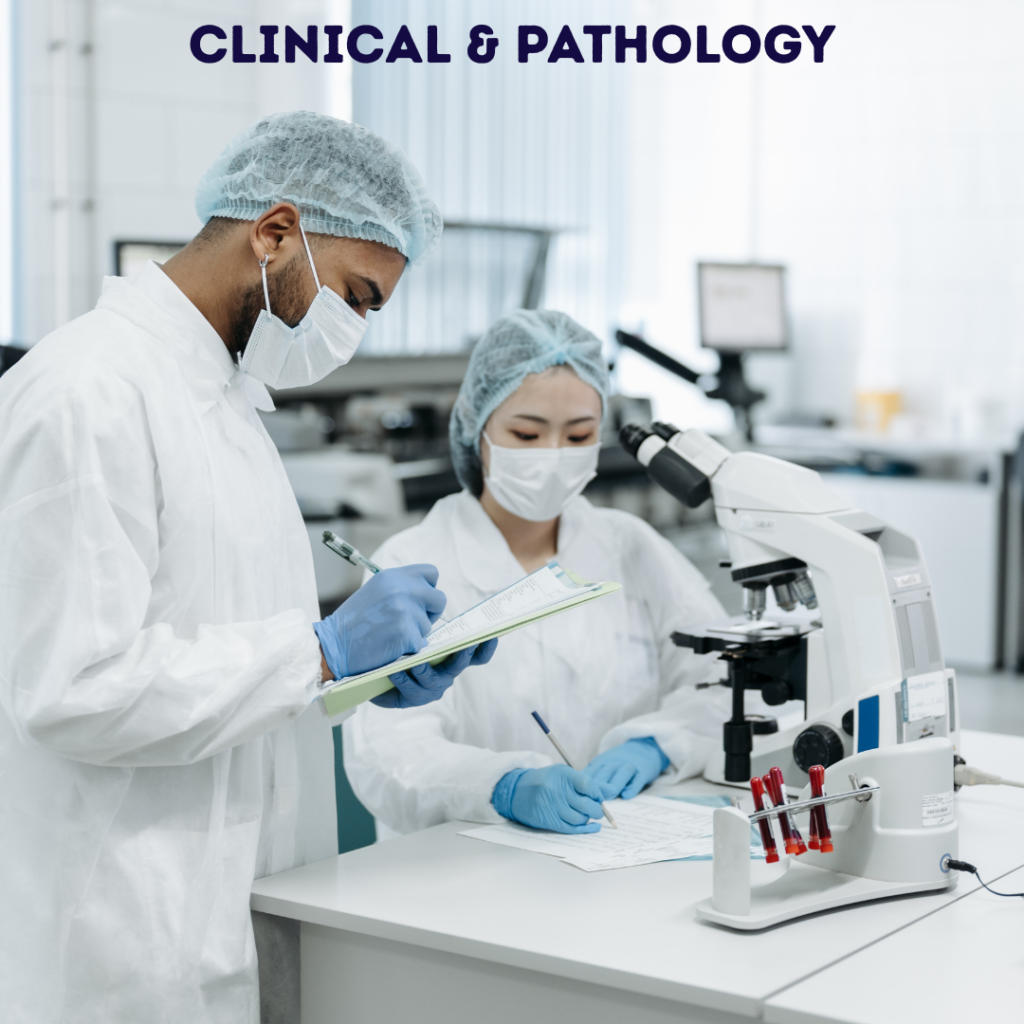 Clinical and Pathology Clinical and Pathology