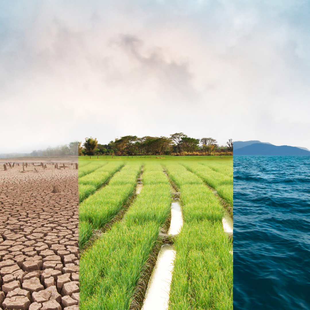Water, Agriculture & Environmental